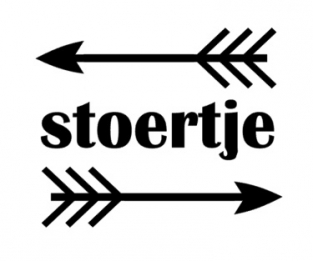 Strijkapplicatie stoertje velours